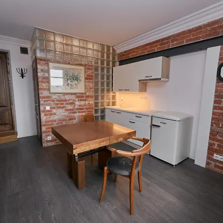 Modernios Klasikos Studija Apartment