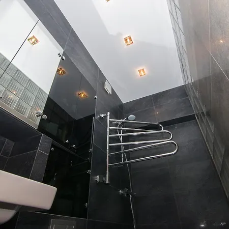 Modernios Klasikos Studija Apartment Kaunas